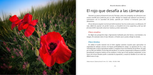Guía completa para entender el funcionamiento de la cámara del teléfono móvil (versión PDF)